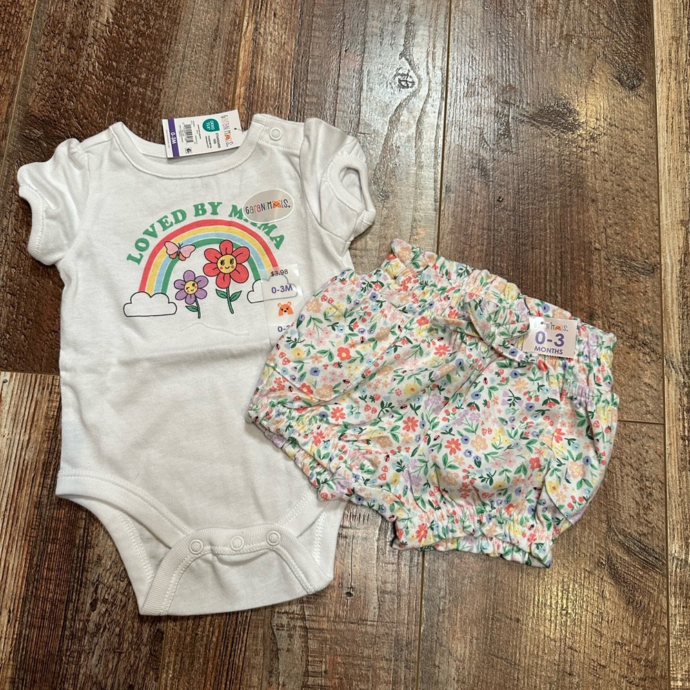 NWT shorts and onsie